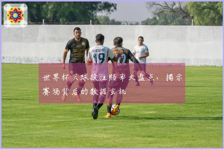 世界杯买球投注赔率大盘点，揭示赛场背后的数据玄机