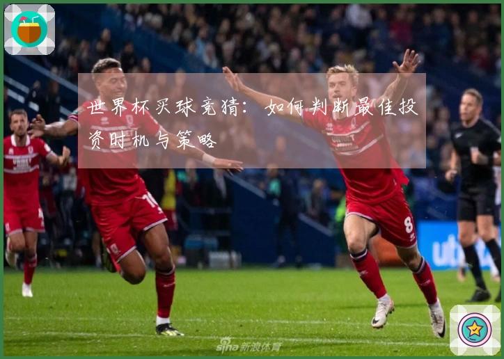 世界杯买球竞猜：如何判断最佳投资时机与策略