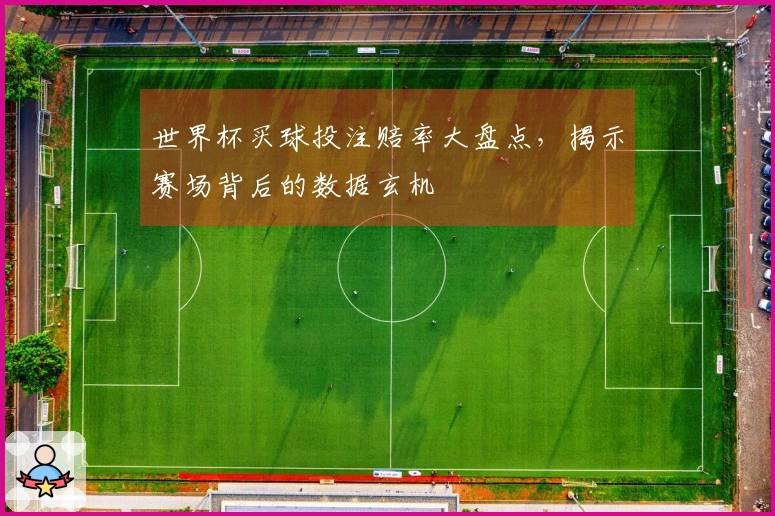 世界杯买球投注赔率大盘点，揭示赛场背后的数据玄机
