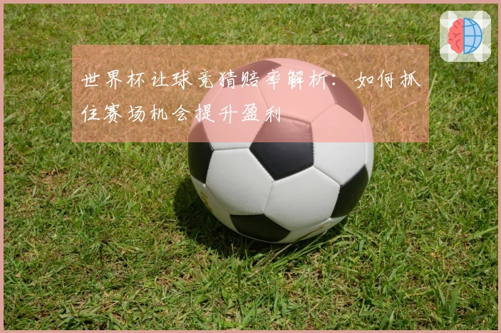 世界杯让球竞猜赔率解析：如何抓住赛场机会提升盈利