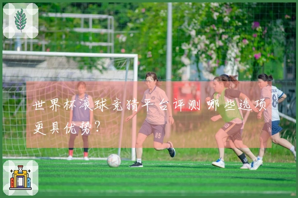世界杯滚球竞猜平台评测 哪些选项更具优势？