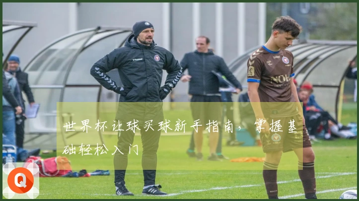 世界杯让球买球新手指南，掌握基础轻松入门
