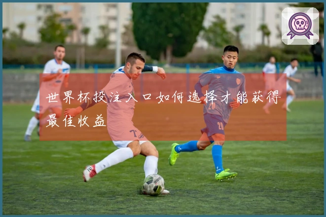 世界杯投注入口如何选择才能获得最佳收益
