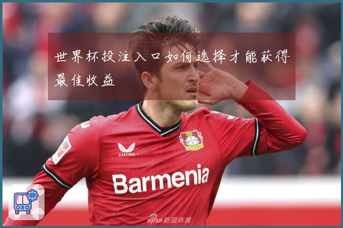 世界杯投注入口如何选择才能获得最佳收益