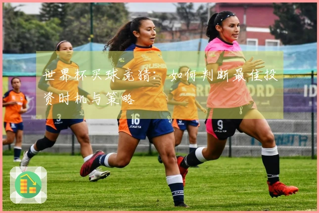 世界杯买球竞猜:如何判断最佳投资时机与策略